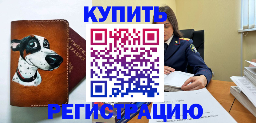 временная регистрация для всех в Долгопрудном